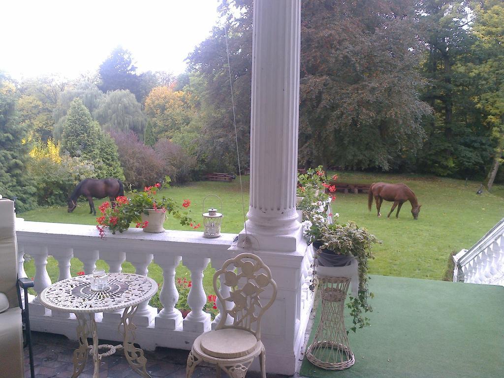 Agroturystyka "Palac W Janowie" Oda fotoğraf